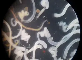 体育博彩导航-国际比赛日上海海港调整名单以备西甲皇家马德里内部沟通备战亚冠，网友：Doinb在DWG比赛中状态火爆的简单介绍